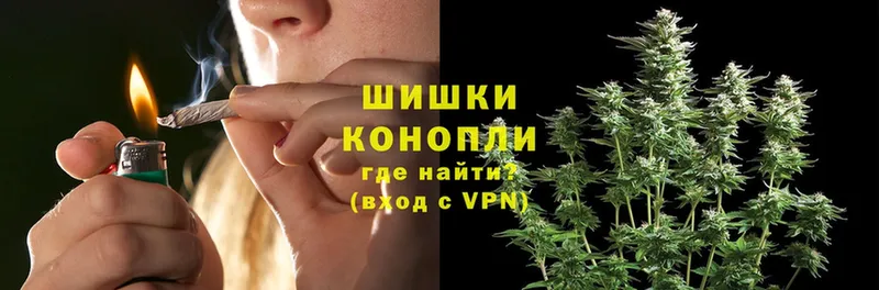 Шишки марихуана THC 21%  где найти   Заводоуковск 